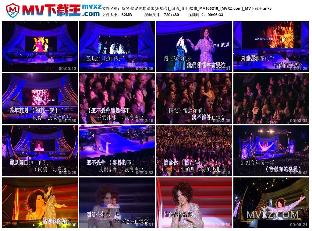蔡琴-恰是你的温柔(演唱会)_国语_流行歌曲_MA105216